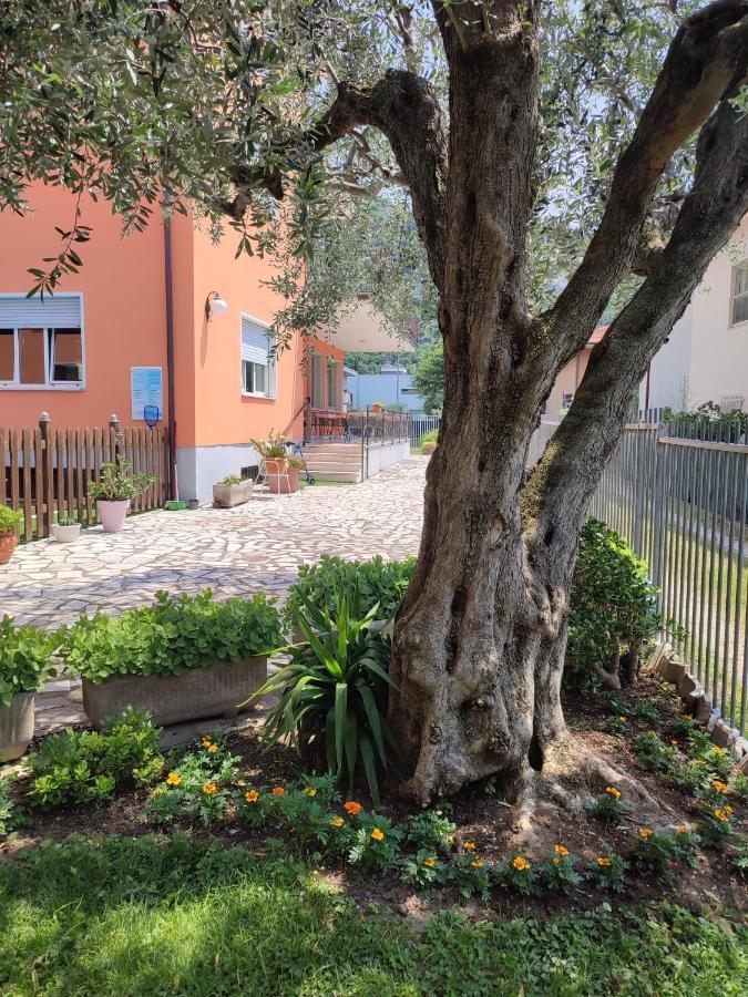 Albergo Villa Mimosa Torbole Sul Garda Exteriör bild